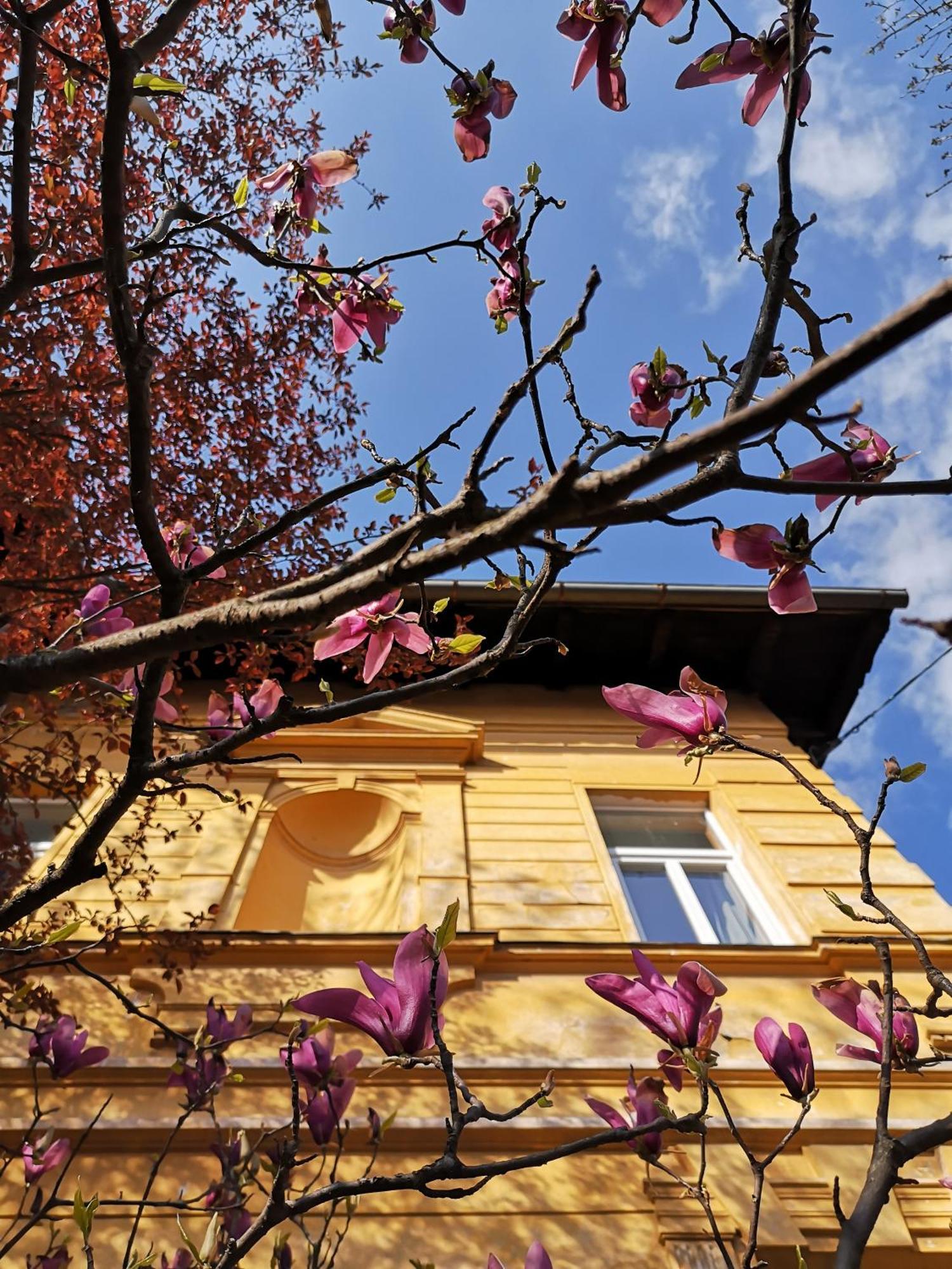 The Villa, Ljubljana City Center 外观 照片