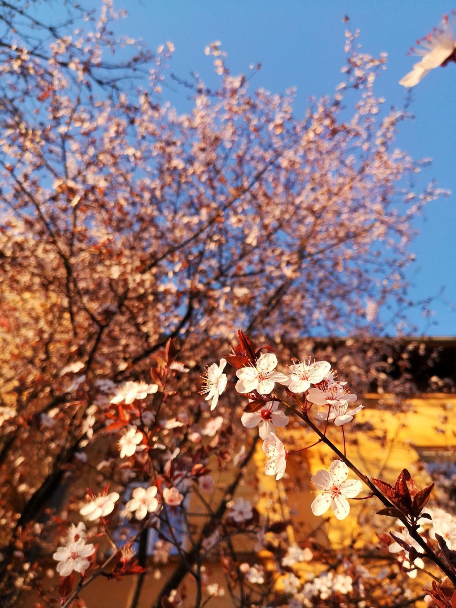 The Villa, Ljubljana City Center 外观 照片
