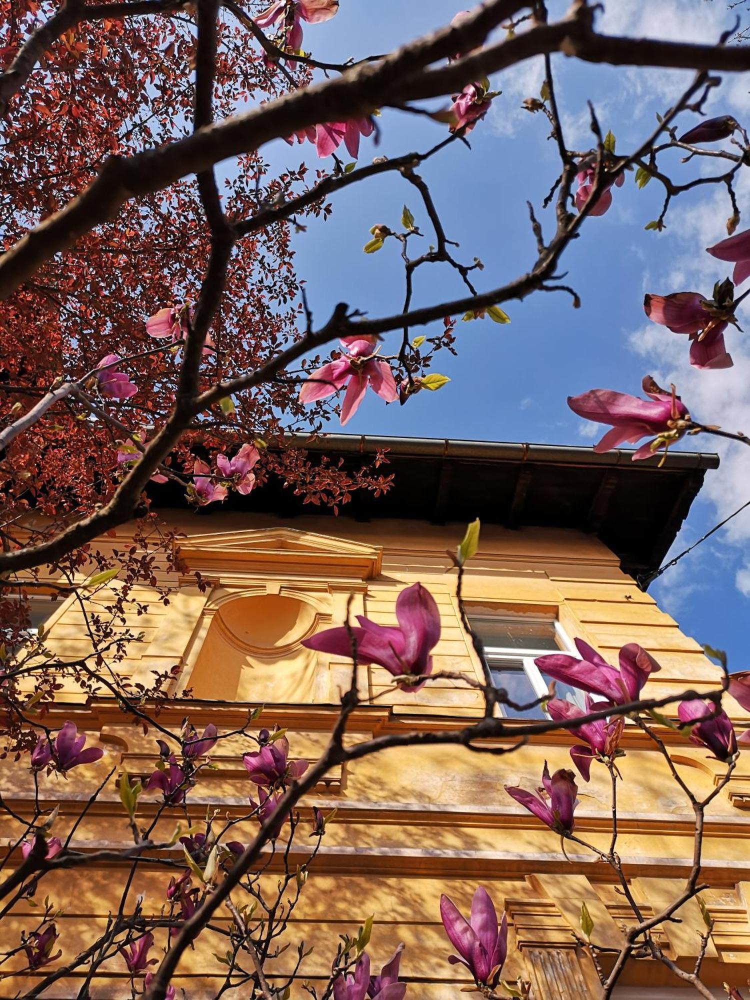 The Villa, Ljubljana City Center 外观 照片